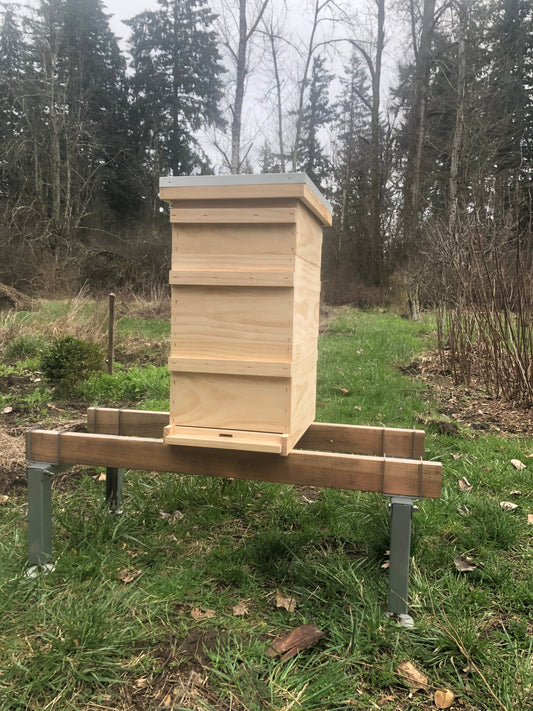 Classic Northwest Hive