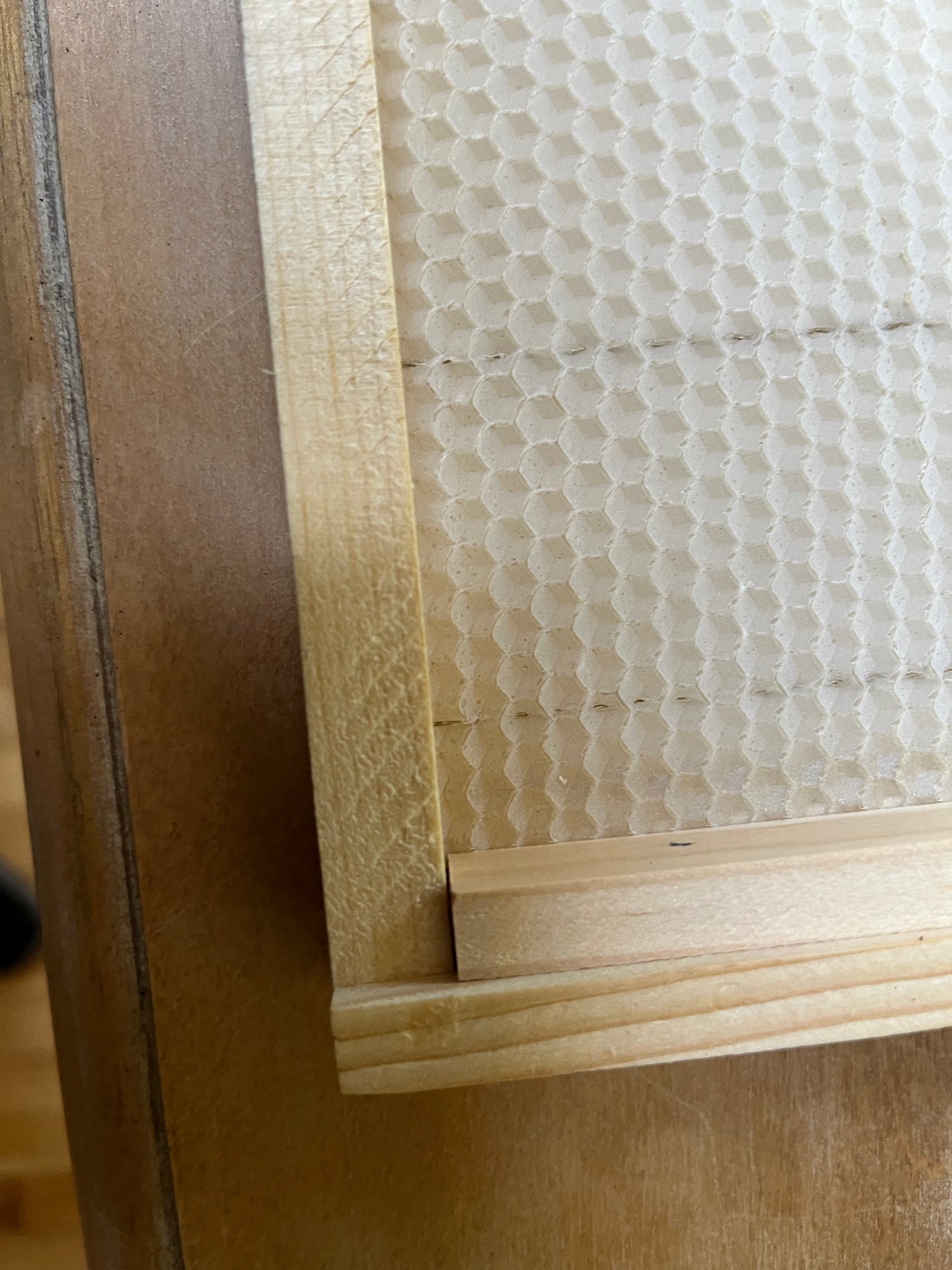 Wood Frames with Wired Beeswax Foundation