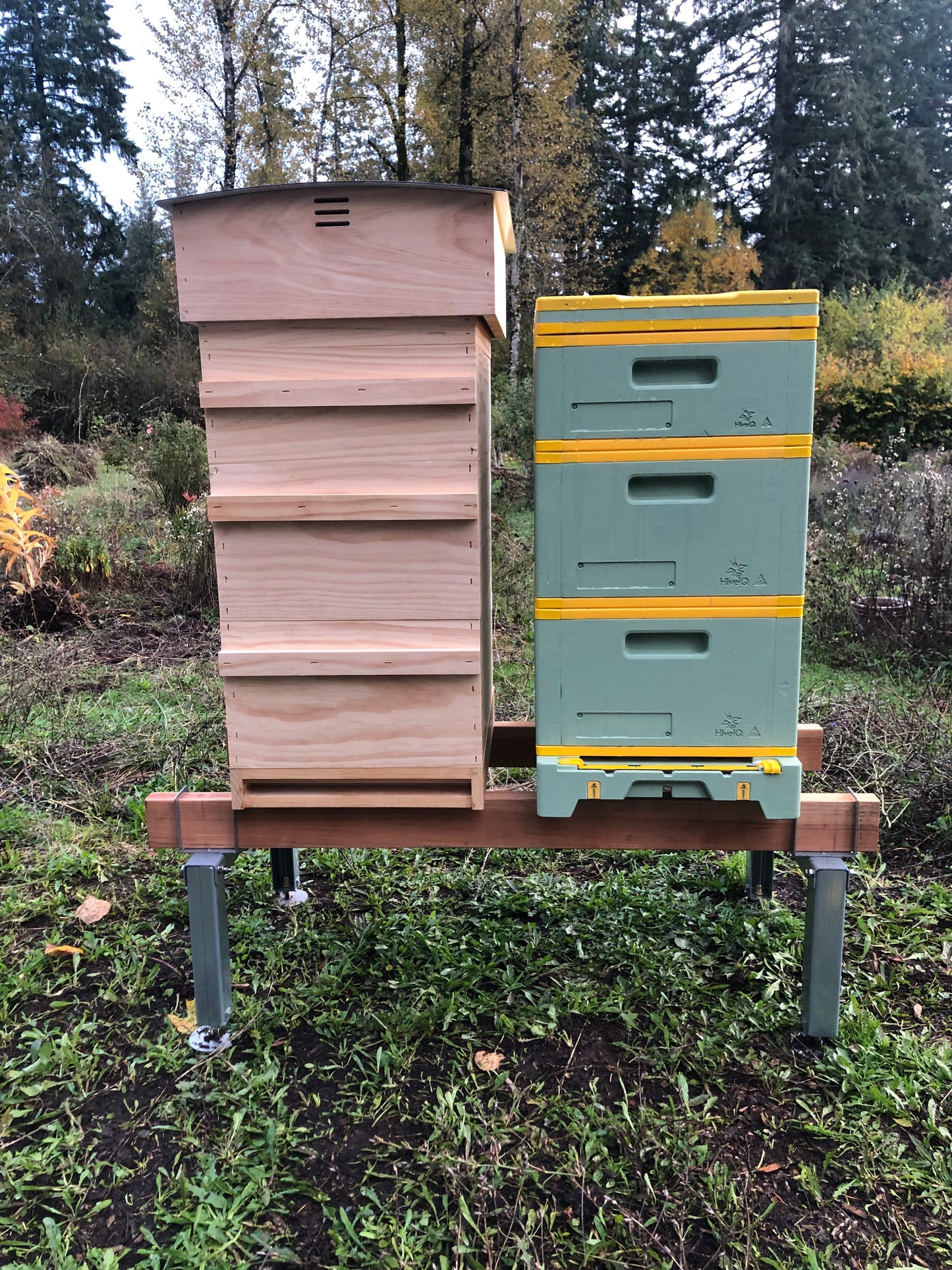 HiveIQ Complete 9-Frame Hive (Two Deeps, One Medium)