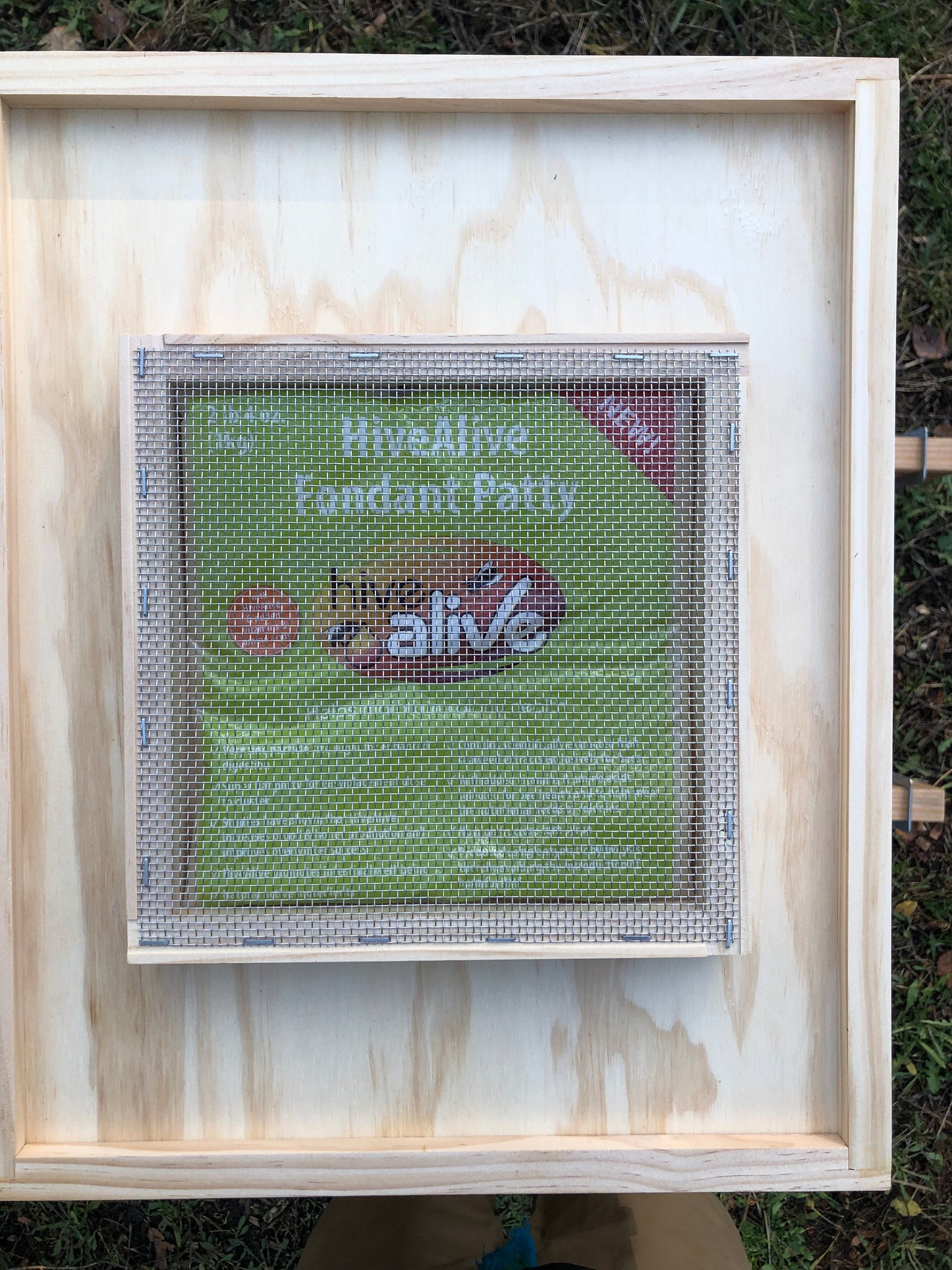 Hive Alive Fondant Patty (5lb)