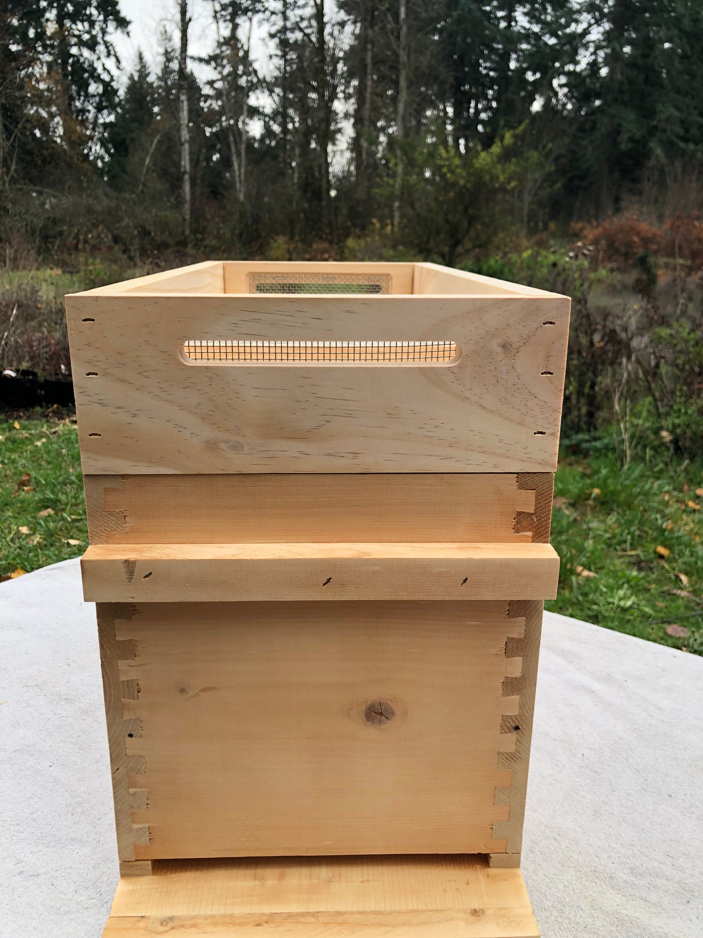 Nucleus Hive Vivaldi Board™️ with Vivaldi Screen™️