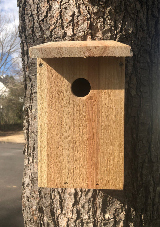 Bird House