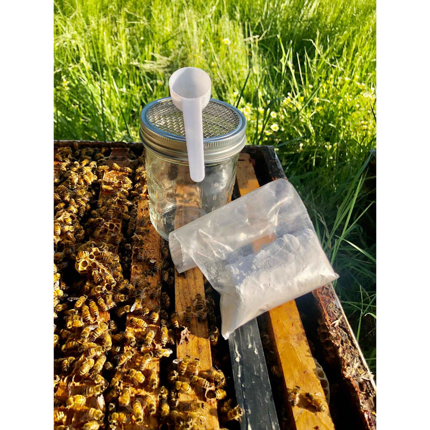 Sugar Roll Mite Testing Kit