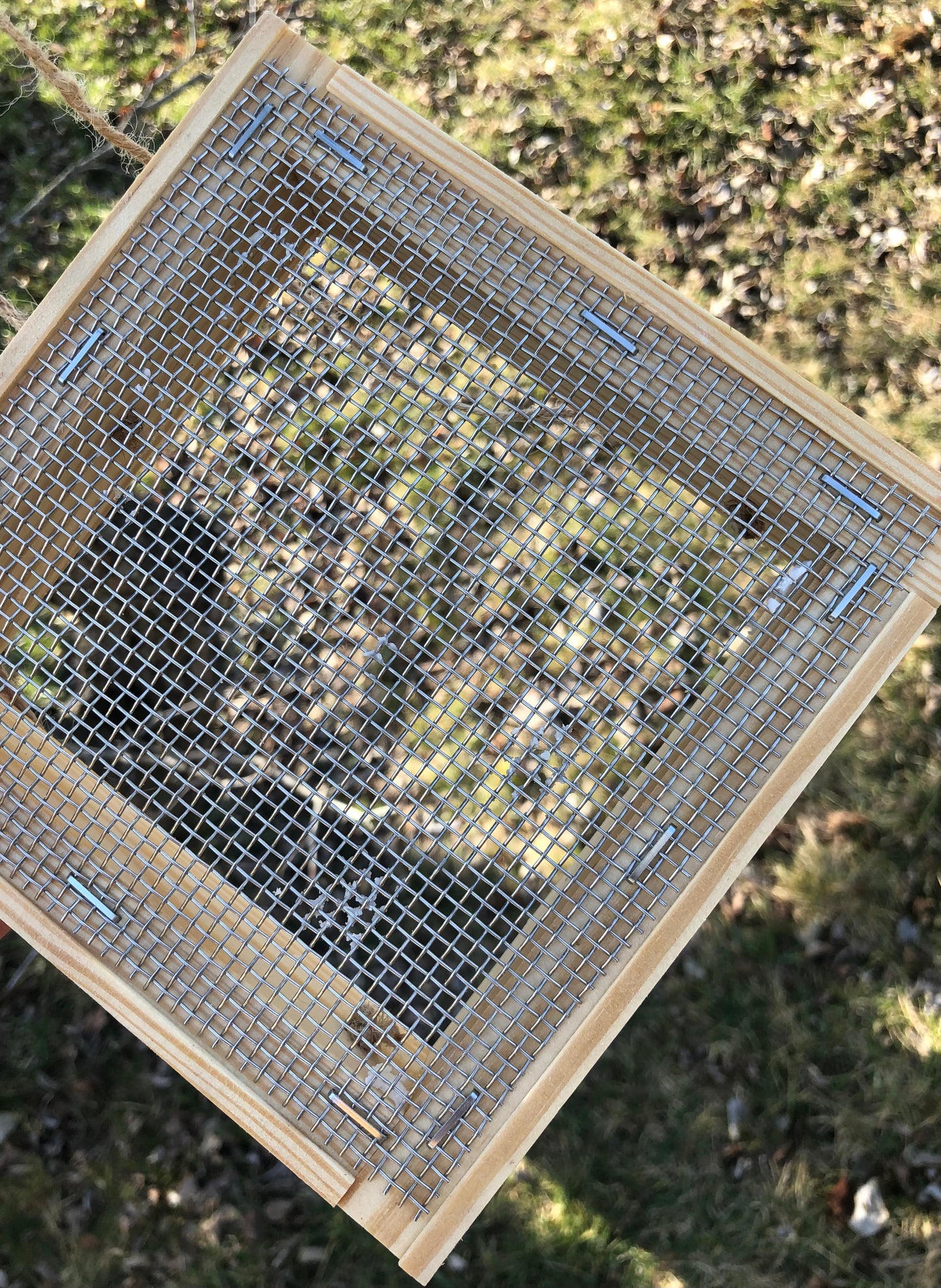 Hanging Bird Feeder