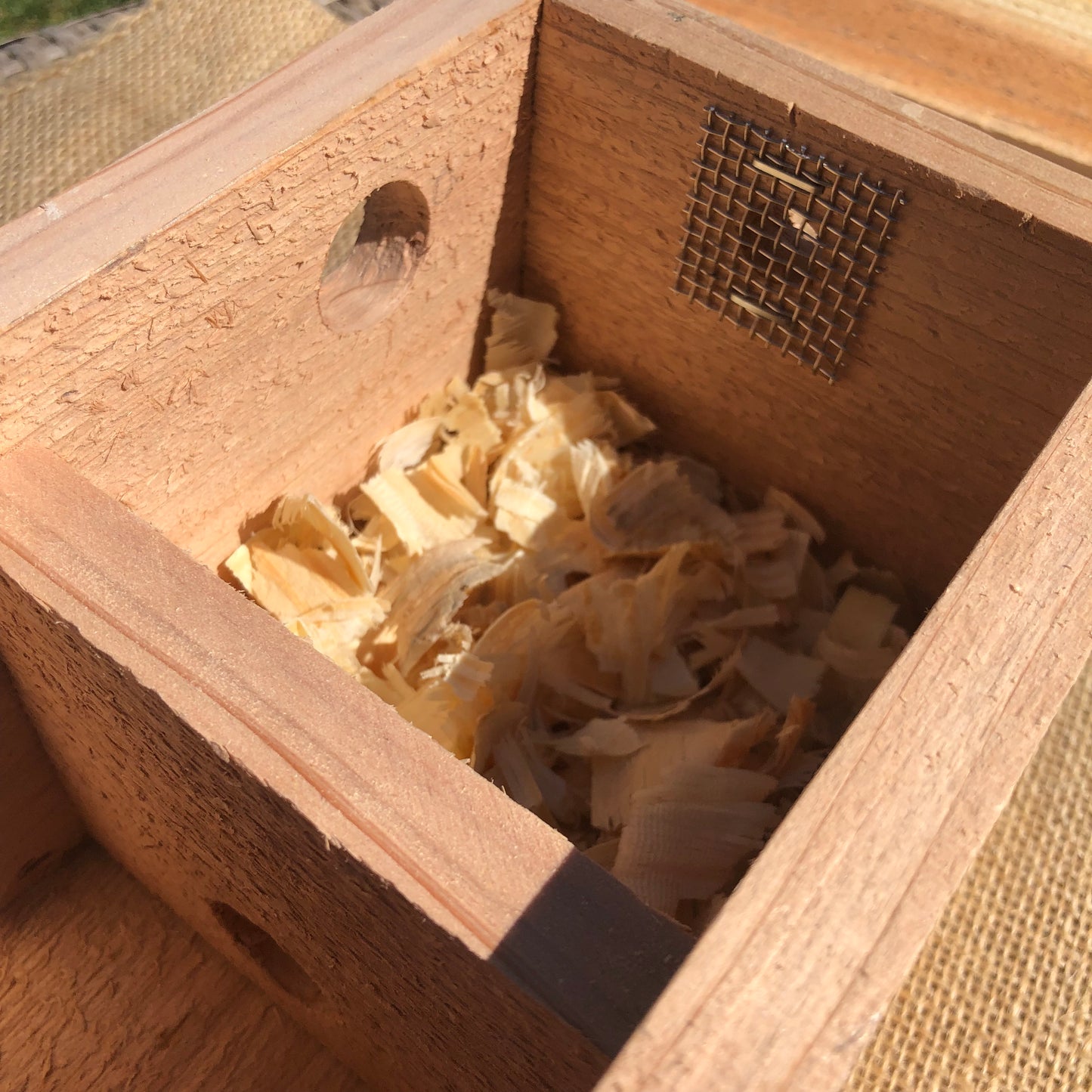 Bumble Bee House