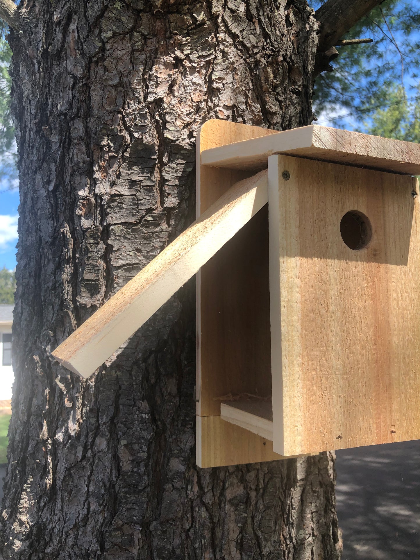 Bird House