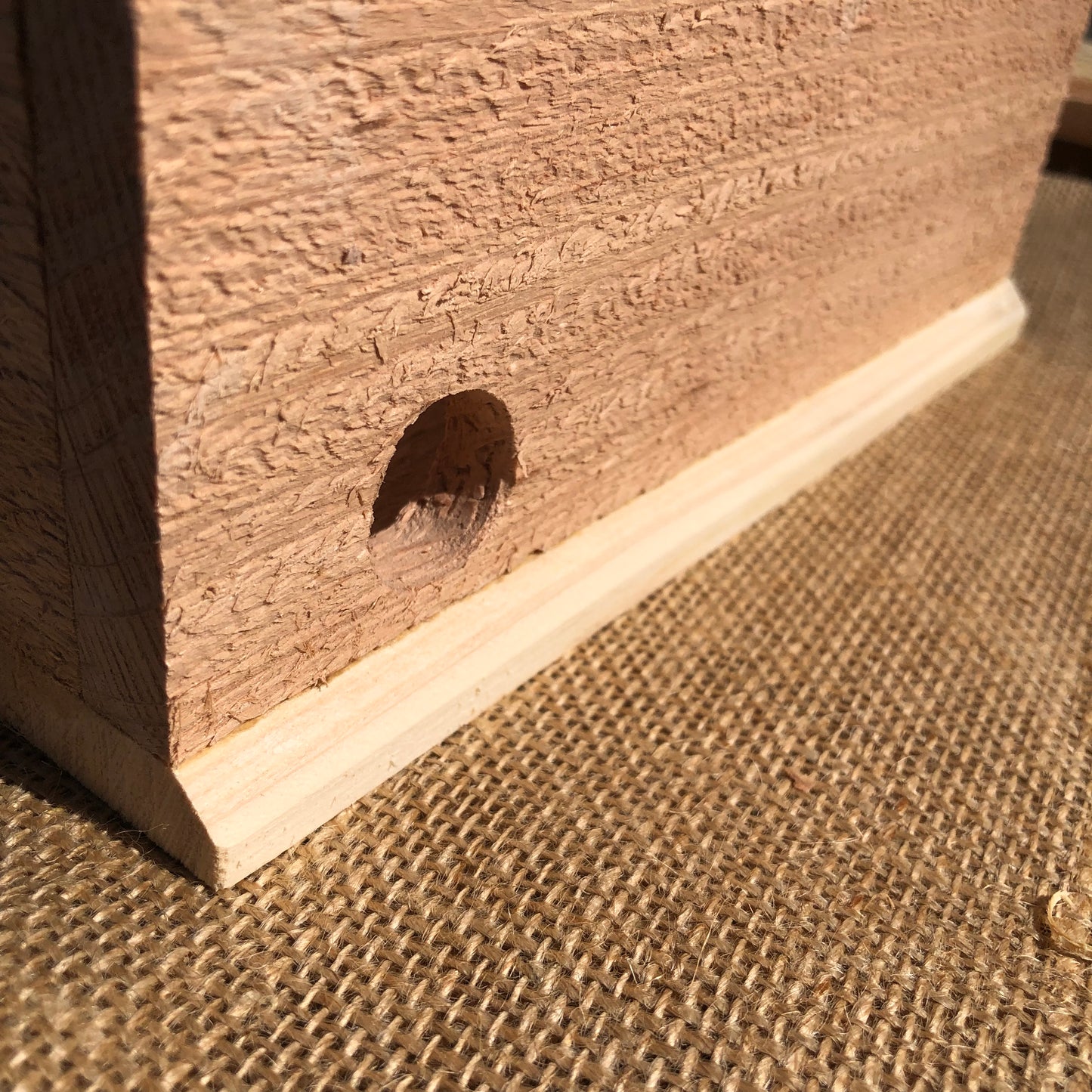 Bumble Bee House