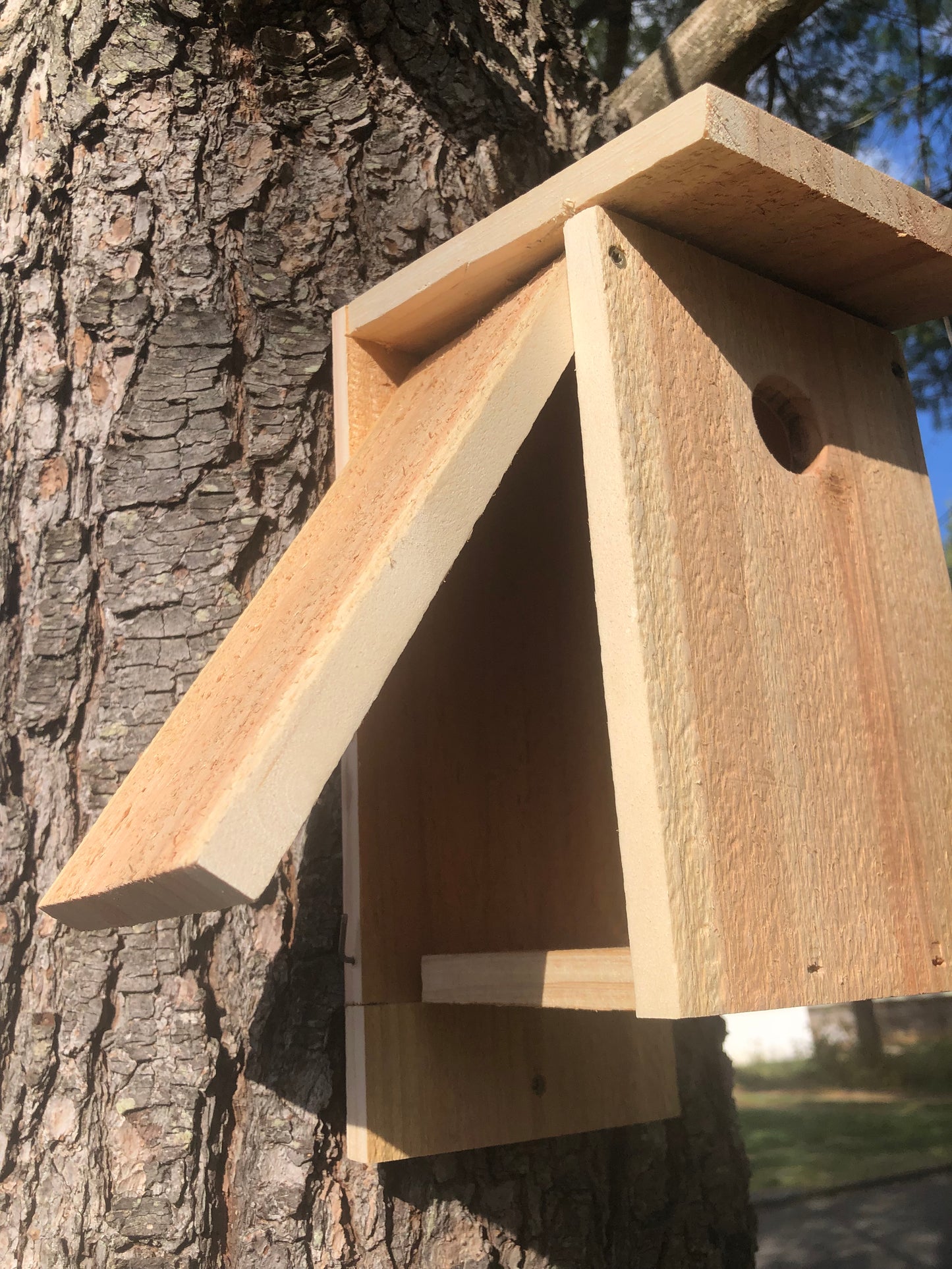 Bird House