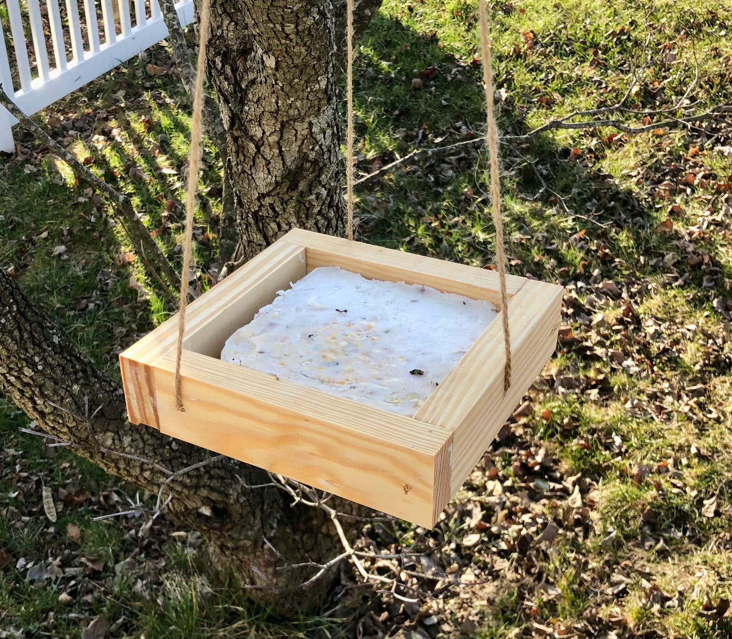Hanging Bird Feeder