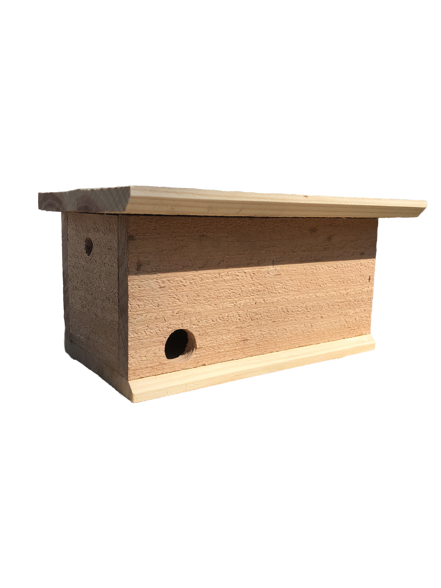 Bumble Bee House
