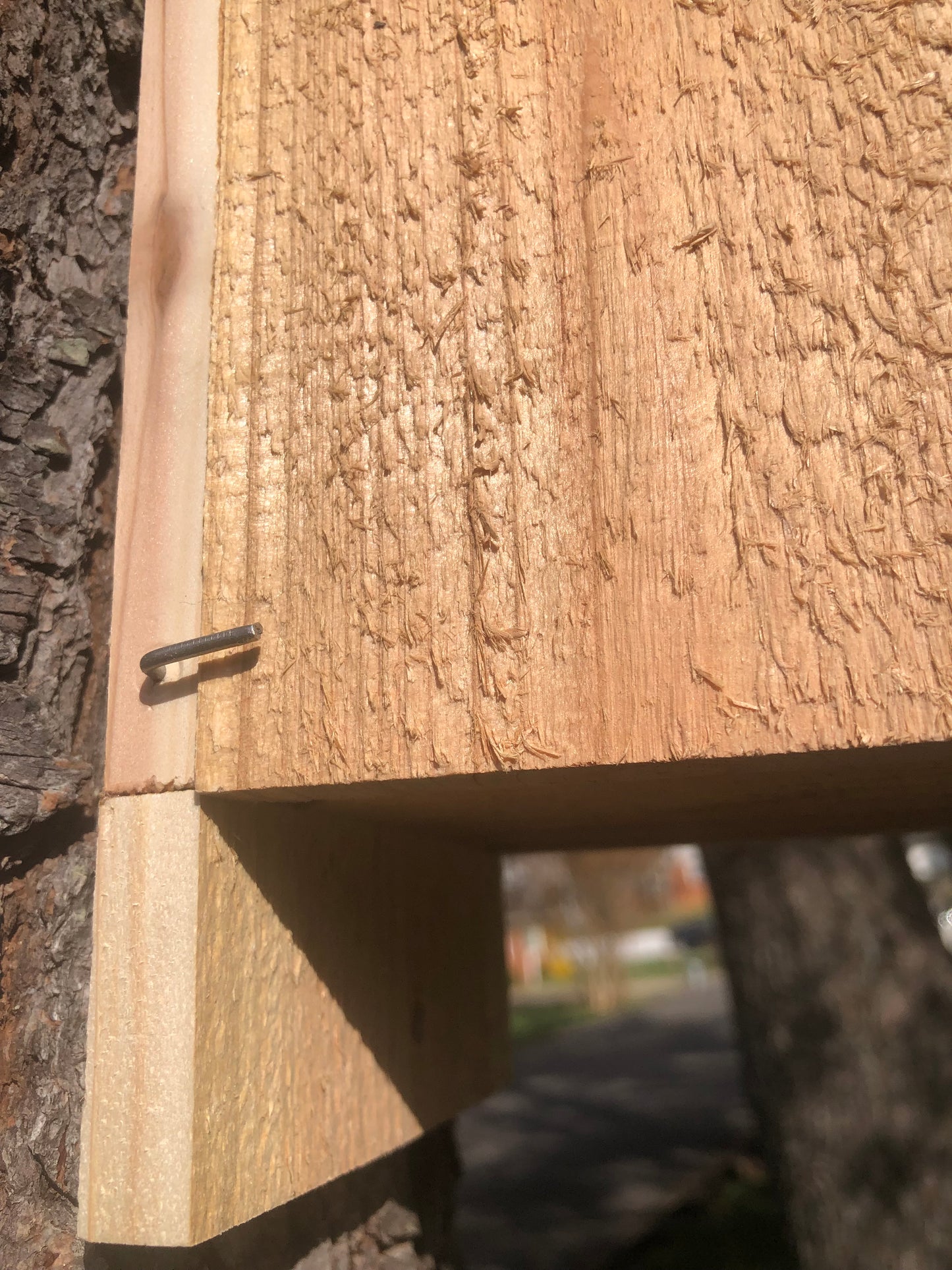 Bird House
