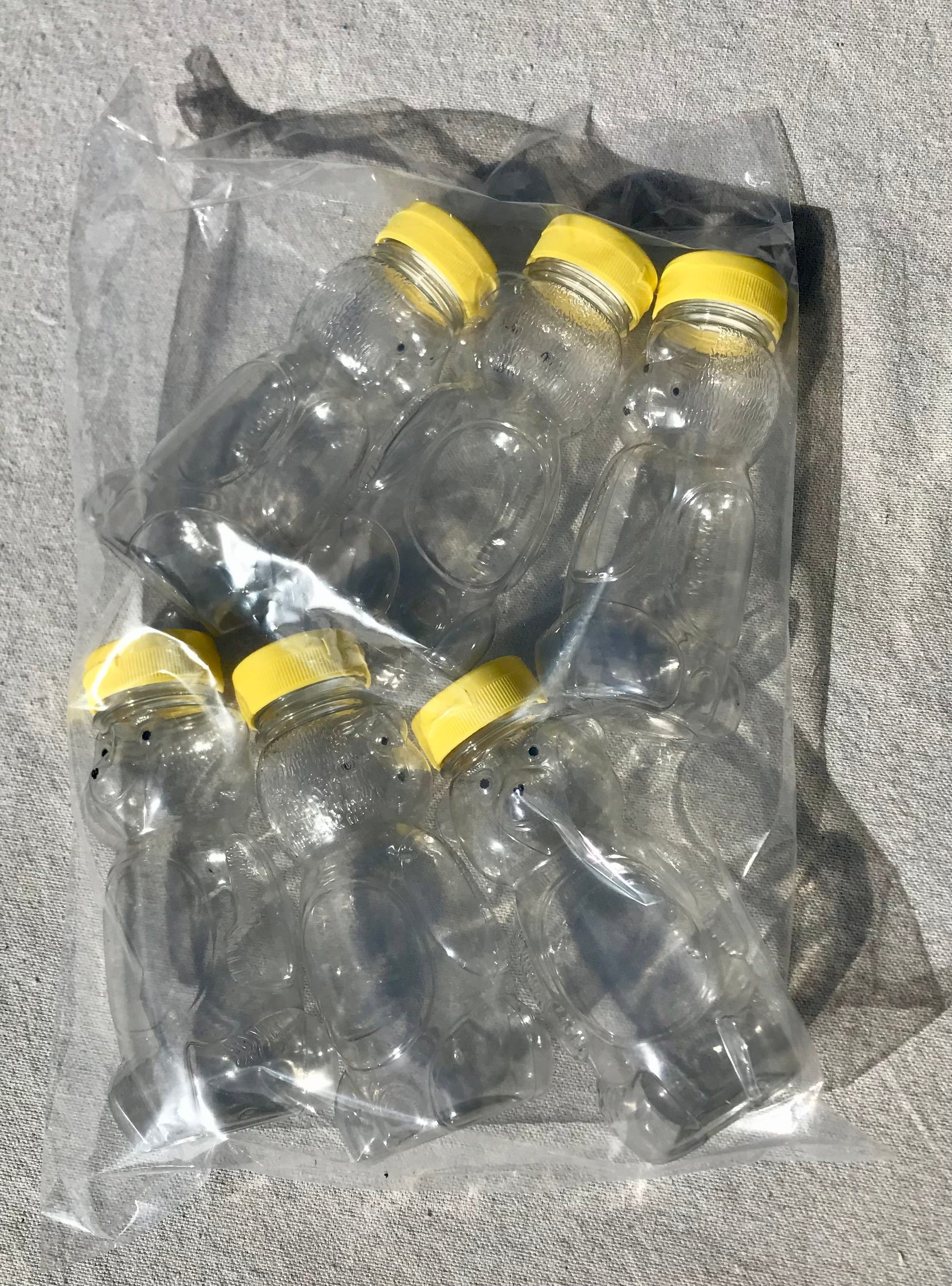 Honey Bear 6-pack (12oz)