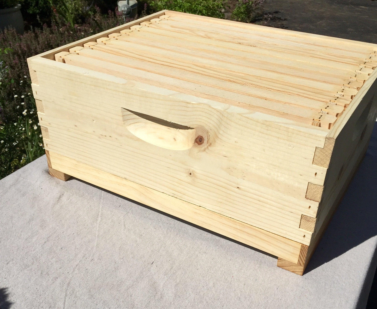 Honey Drip Tray (10-Frame)