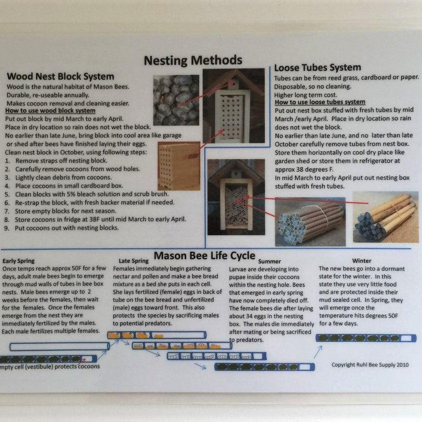 E-Field Guide on Raising Mason Bees in the Pacific Northwest