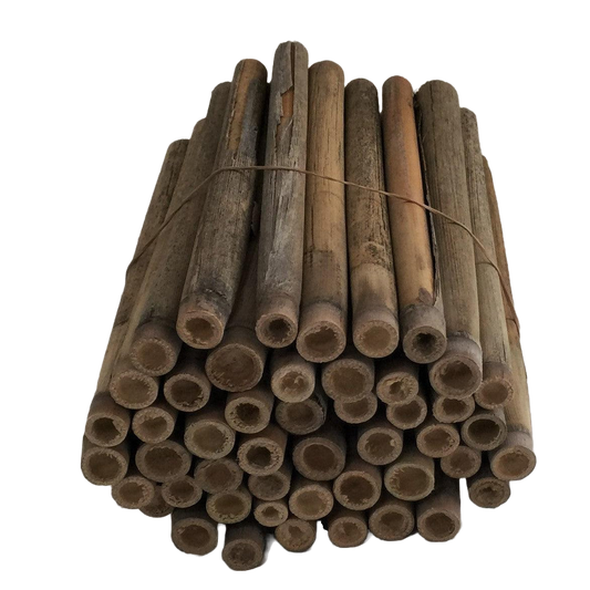 Mason Bee Nesting Reeds (48-pack)