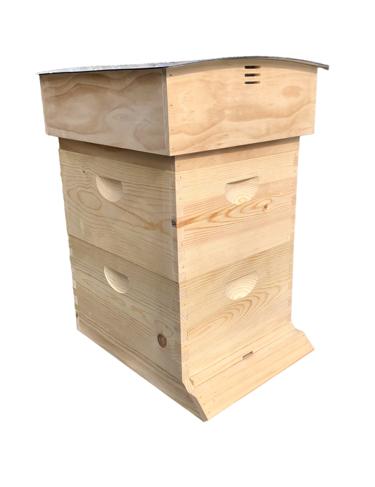 Standard Northwest Hive