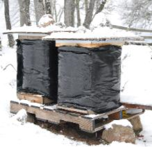 Preparing Your Hives for Winter