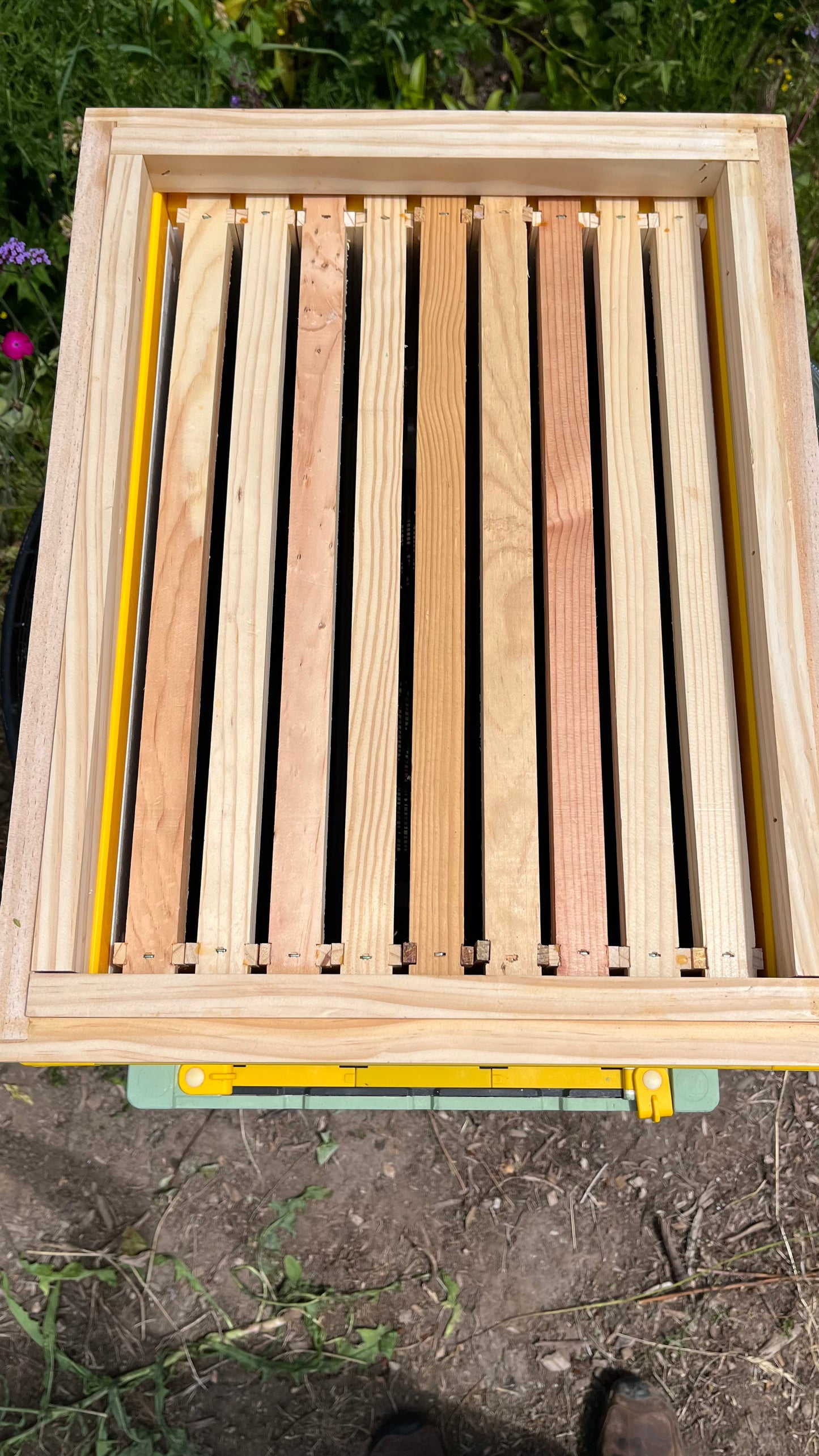 Spacer Shim for HiveIQ Hives