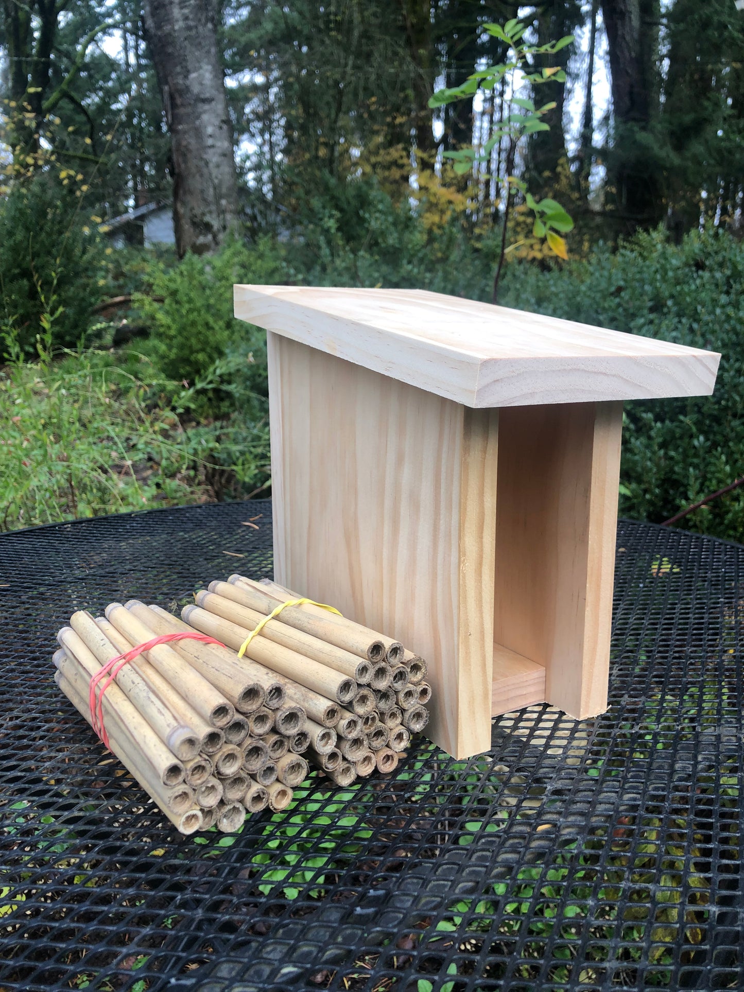 Mason Bee House with Reeds