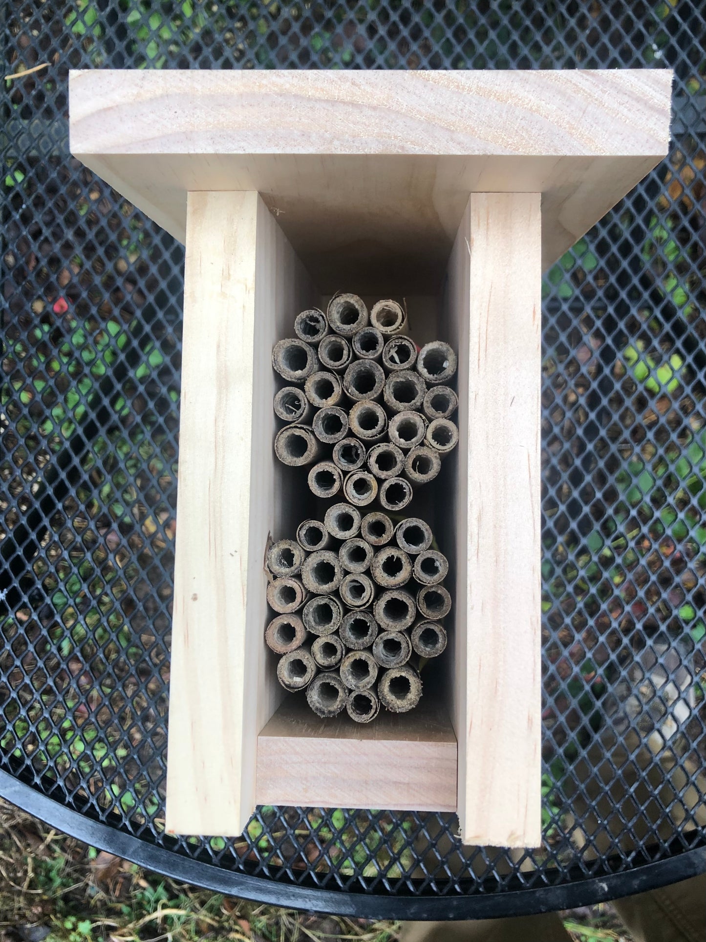 Mason Bee House with Reeds