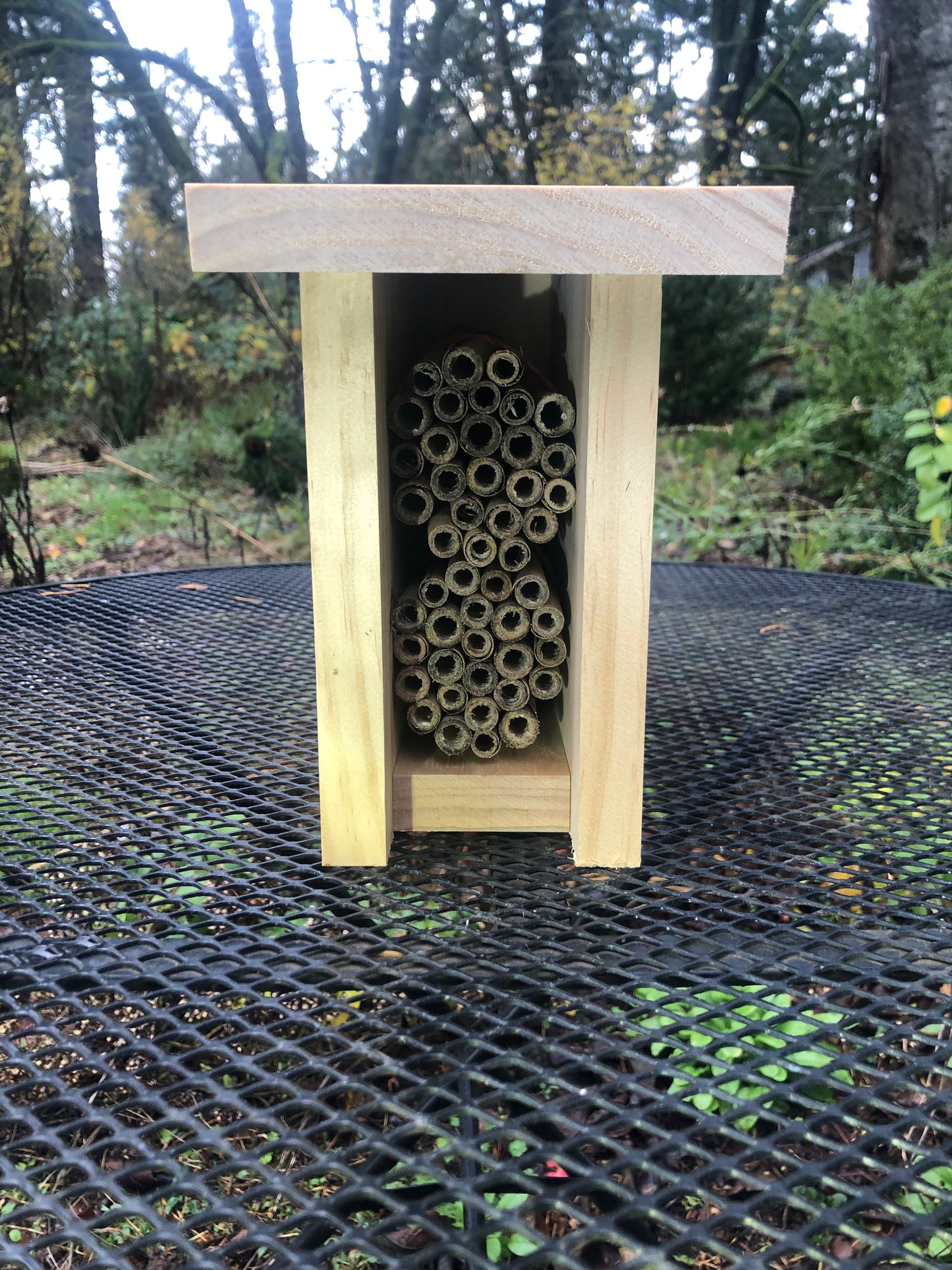 Mason Bee House with Reeds