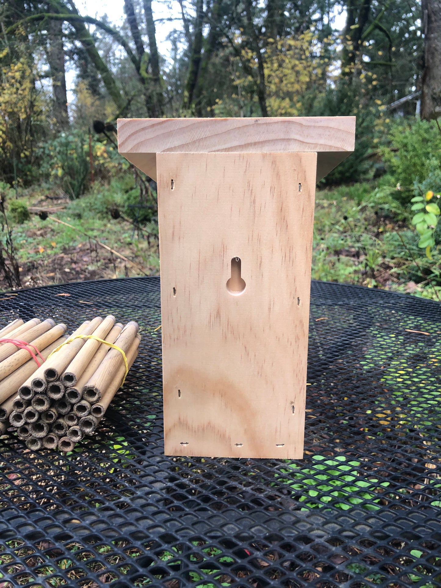 Mason Bee House with Reeds