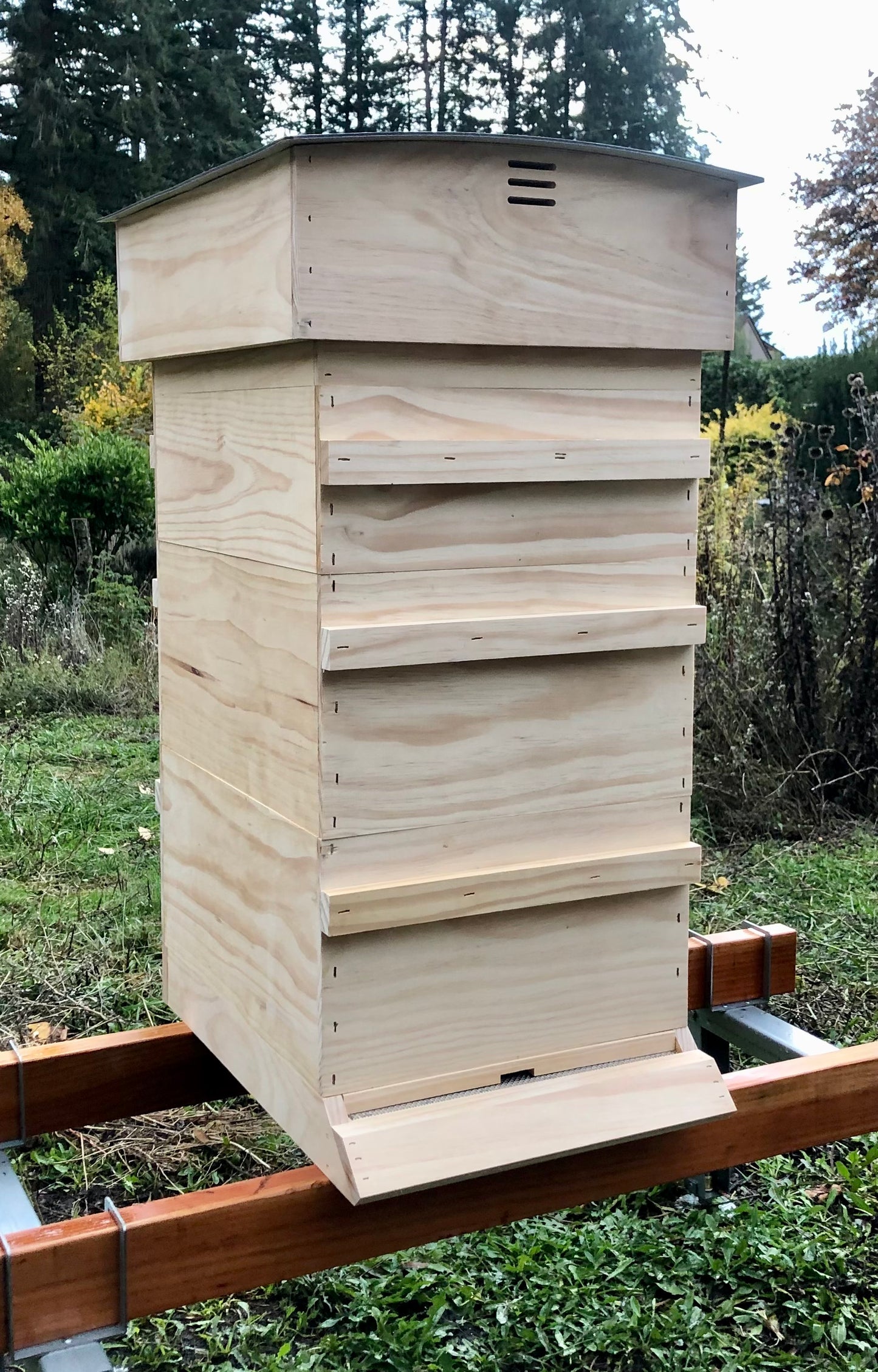 Standard Northwest Hive