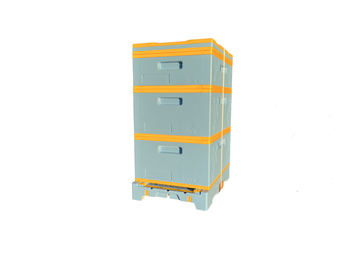 USA Hive Kit (Two Deeps, One Medium)