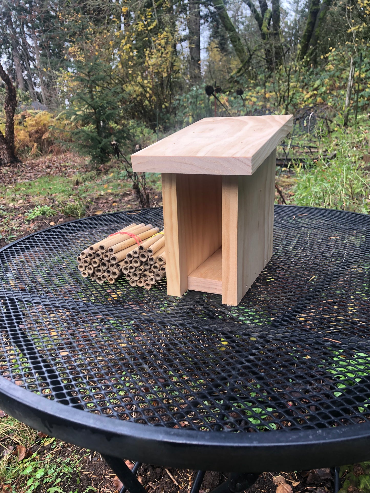 Mason Bee House with Reeds