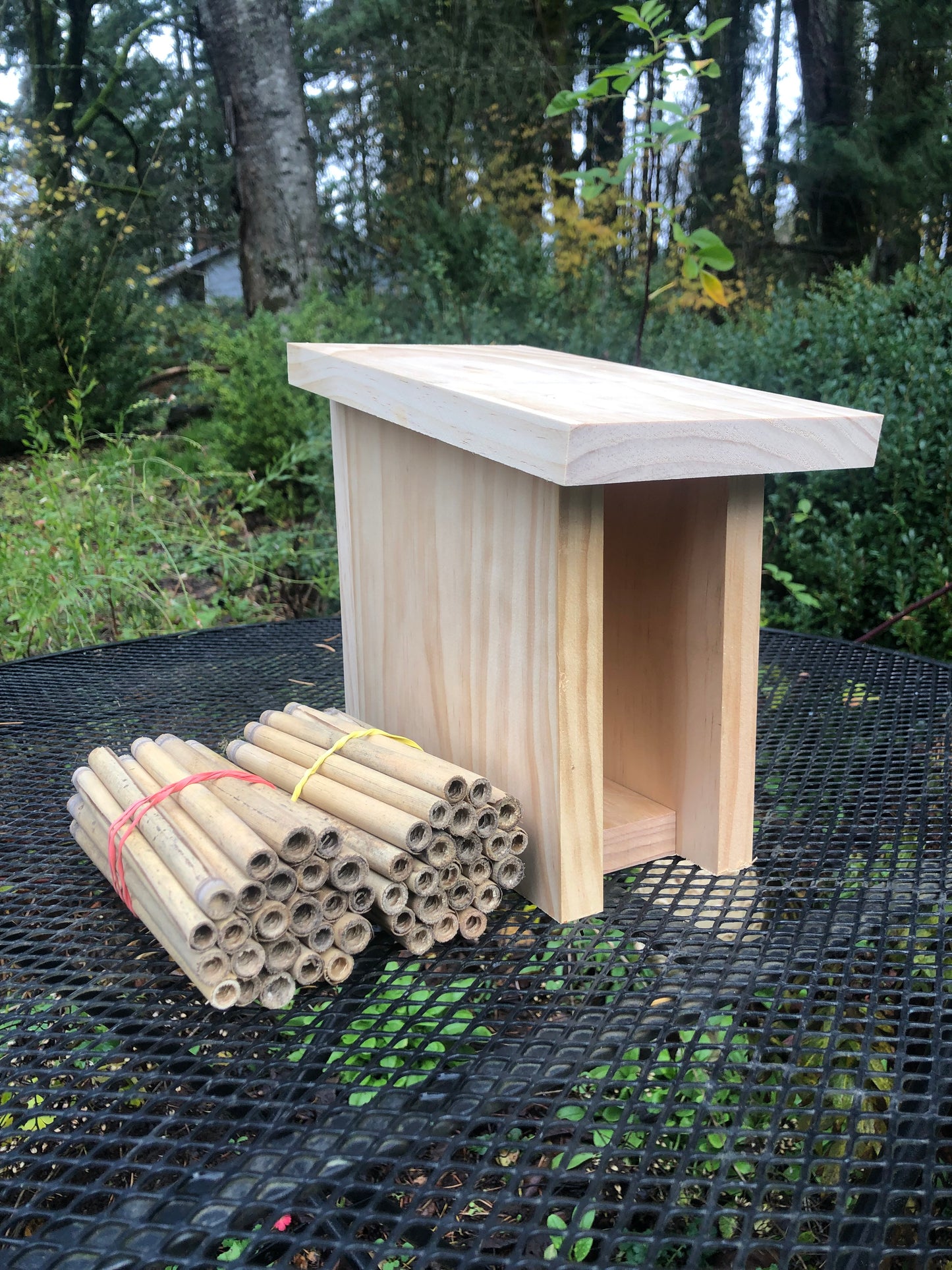 Mason Bee House with Reeds