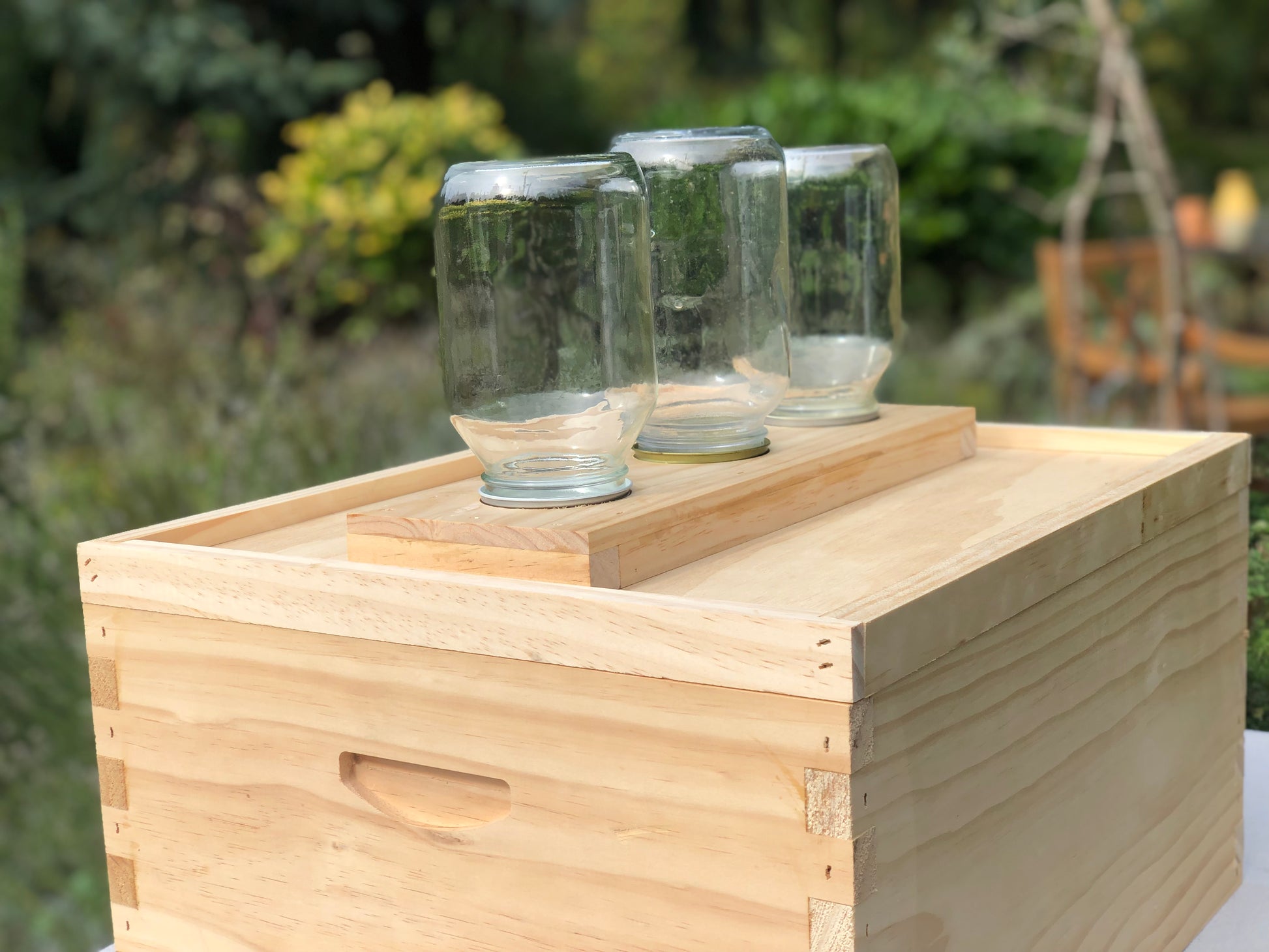 Three hole jar feeder for honeybees