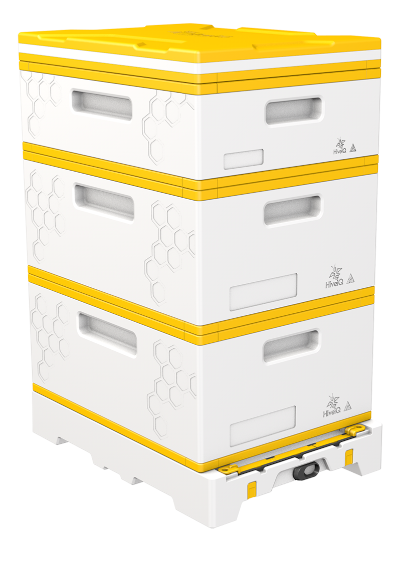 USA Hive Kit (Two Deeps, One Medium)