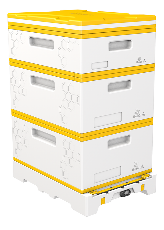 USA Hive Kit (Two Deeps, One Medium)
