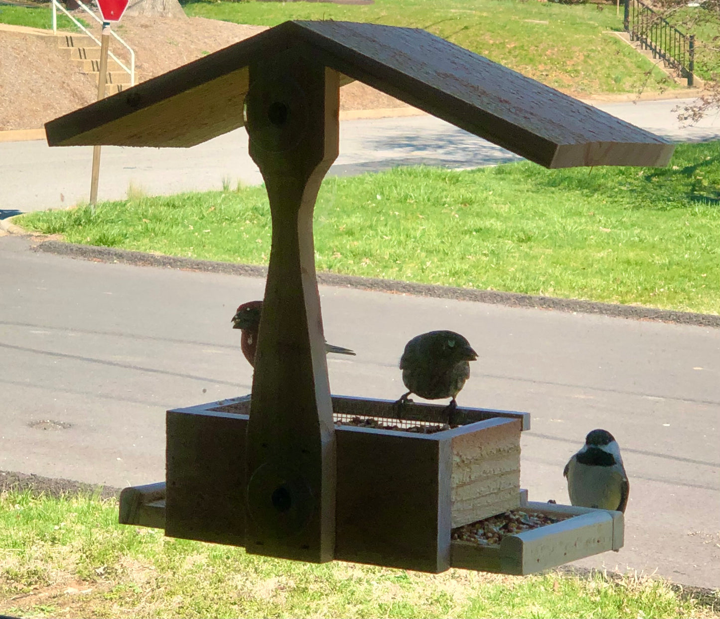 Window Bird Feeder