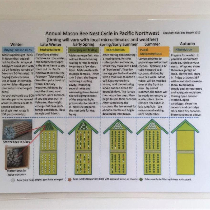 E-Field Guide on Raising Mason Bees in the Pacific Northwest