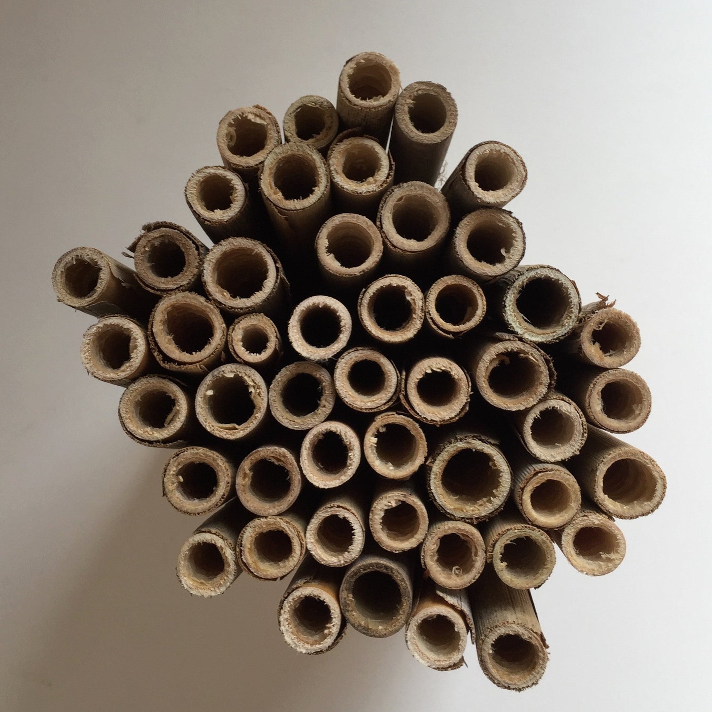 Mason Bee Nesting Reeds (48-pack)