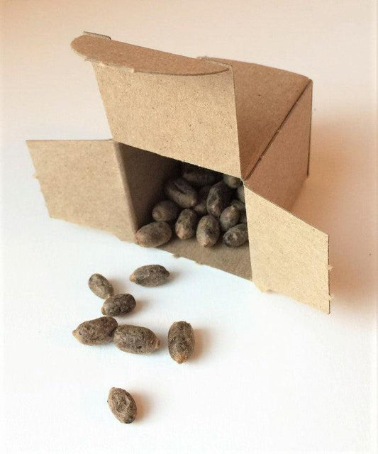 Orchard Mason Bee Cocoons (In Stock Now)