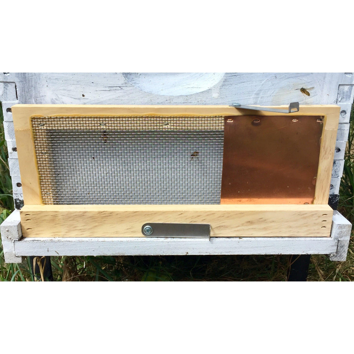 Robbing Screen Bee Outside – HiveAndGarden