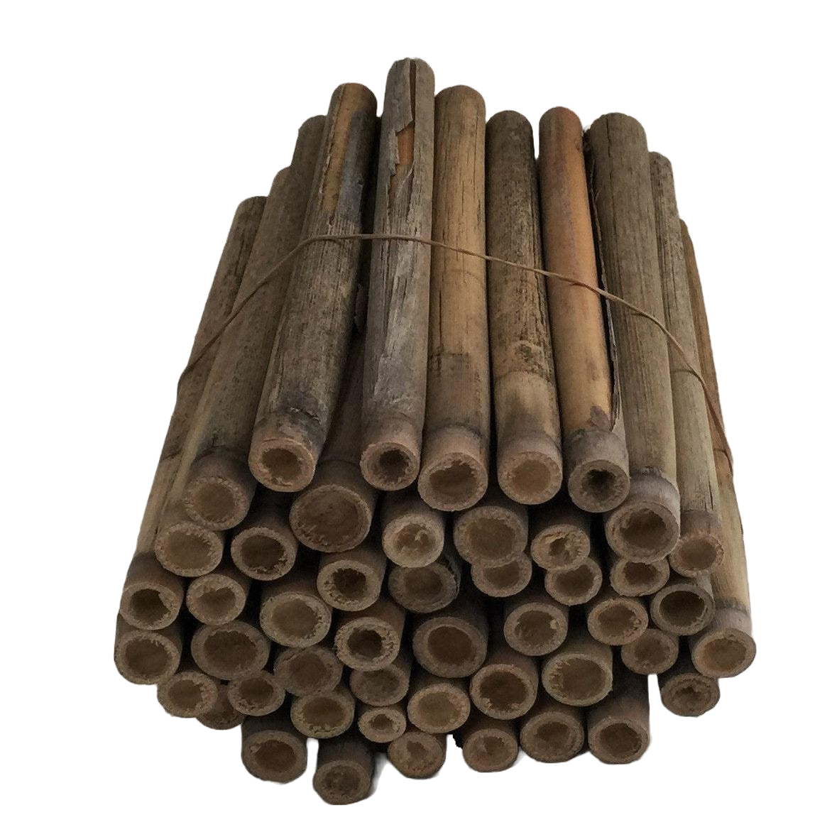 Mason Bee Nesting Reeds (48-pack)