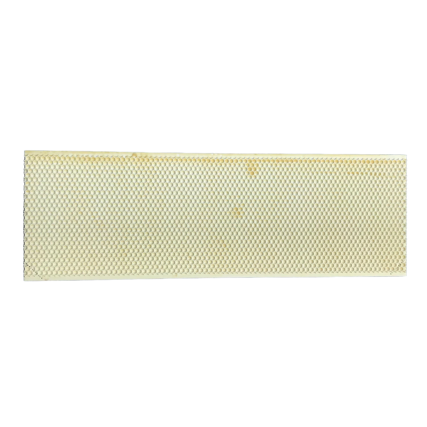 white plastic foundation for medium honey super frames